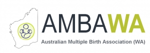 Playgroup (Australian Multiple Birth Association (WA) )